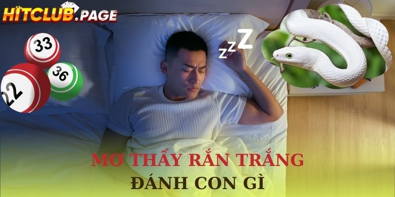 mơ thấy rắn trắng đánh con gì